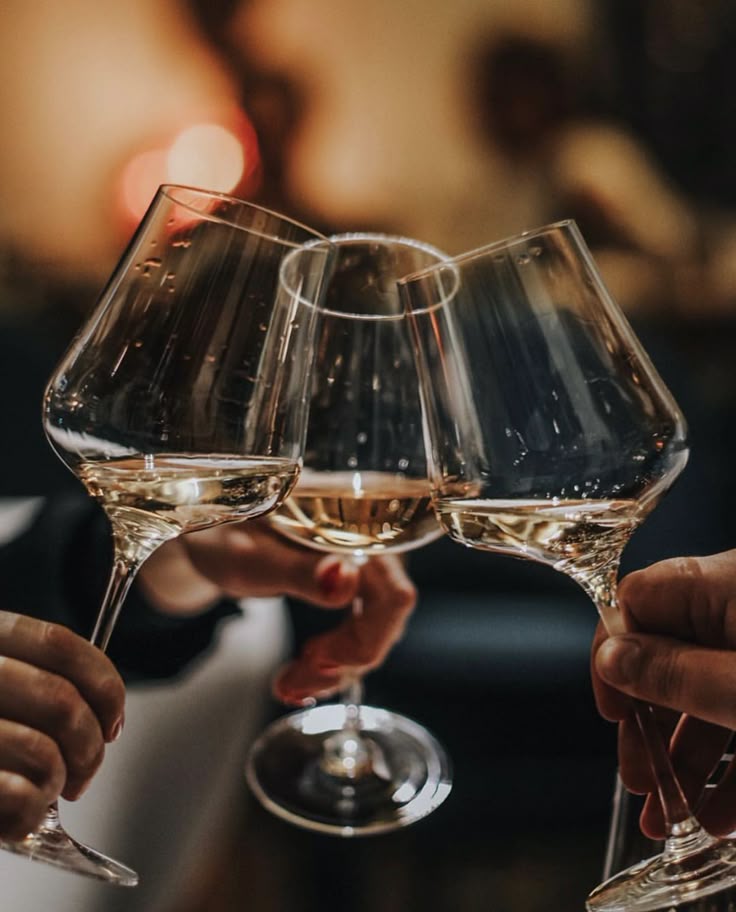 Día del Enólogo: pasión, herencia y desafíos en Argentina