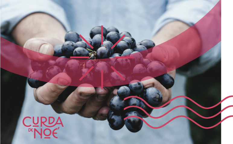 17 de Abril: día internacional del Malbec