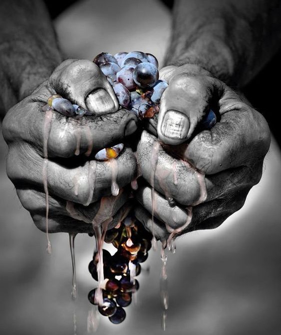 07 de Septiembre: Brindamos por los alquimistas detrás de cada copa